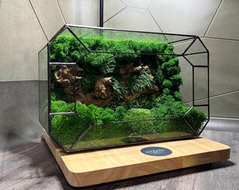 Geometrisch mosterrarium: handgemaakt zendecor van glas en hout, milieuvriendelijk mossarium