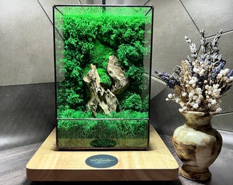 LED-mosterrarium: geometrische glazen tuin met licht, milieuvriendelijk mossarium