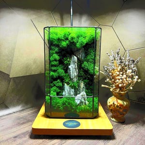 Geometric Glass Moss Terrarium | Handmade Plant Gift for Home or Office | Preserved Moss Decor | Modern Desk Glass Box