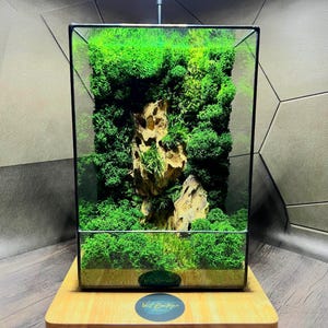 Moss Terrarium with Stone | Handmade Eco Decor for Desk or Home | Preserved Moss Gift | Zen Mossarium for Office