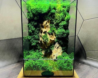 Handgemaakt glazen mossarium | Milieuvriendelijk zen-decor | Modern natuurcadeau voor thuis of op kantoor | Verticaal mosterrarium