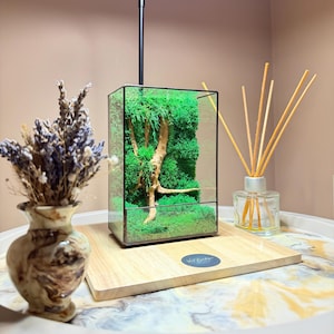 Könnte beinhalten: Ein rechteckiges Glasterrarium mit schwarzem Metallrahmen, das leuchtend grünes konserviertes Moos und einen hellen Holzzweig enthält. Das Terrarium steht auf einem quadratischen Holzsockel mit einem kleinen runden Logo-Aufkleber.