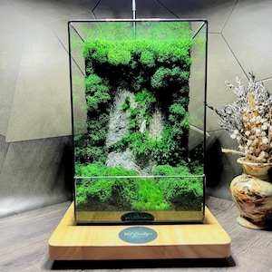 Moss Terrarium: Handmade Japanese Zen Garden Decor