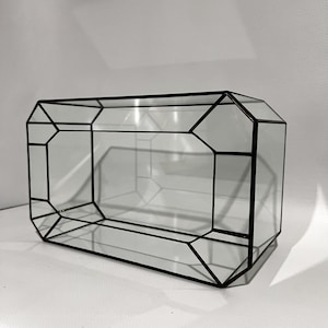 Puede incluir: Un terrario geométrico rectangular. Los paneles de vidrio transparente están enmarcados por líneas de metal negro, creando un diseño moderno y minimalista. El terrario está diseñado para contener plantas u otros objetos decorativos.