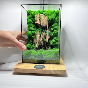 LED Moss Terrarium: Handmade Geometric Glass Nature Decor