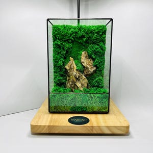 LED Moos Terrarium: Grüner Moos Garten im Glas - Moody Home Decor