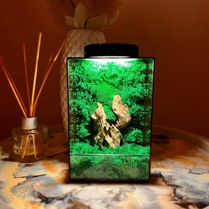 LED Moss Terrarium: Preserved Moss & Stone Art in Glass
