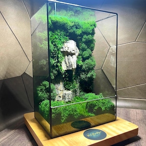 Handmade Terrarium with Preserved Moss - Eco-Friendly Home & Office Decor