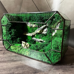 Geometric Moss Terrarium with Stones | Handmade Glass Terrarium Gift | Preserved Moss Decor for Home or Office | Nature-Inspired Desk Art