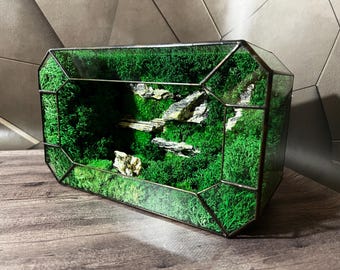 Geometrisch mosterrarium: handgemaakt milieuvriendelijk kantoordecor