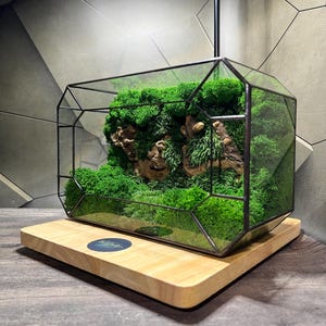 幾何学模様のガラス苔テラリウム：手作りプリザーブドテーブルトップ装飾