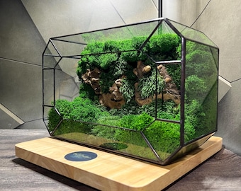 Geometric Glass Moss Terrarium: Handmade Preserved Tabletop Decor