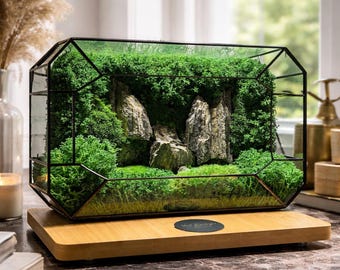 Cadeau geometrisch mosterrarium – handgemaakt glasdecor – natuurlijk geconserveerd mos voor thuis of op kantoor