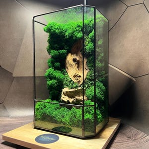 森の苔テラリウム：手作りのガラスと木製のエコフレンドリーな装飾苔テラリウム