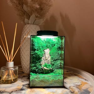 LED Glas Terrarium: Konservierte Moos & Stein Landschaft