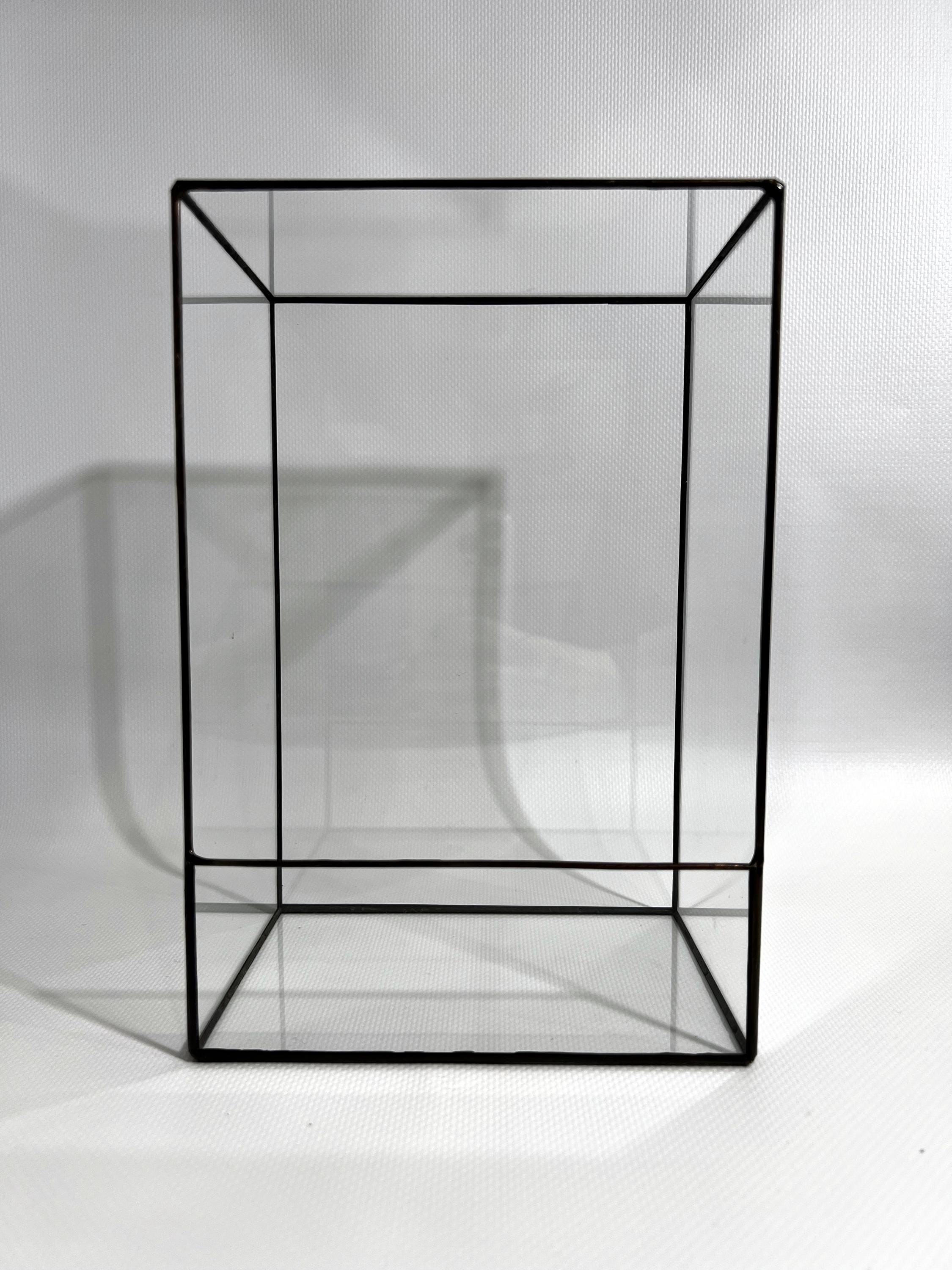 Geometric Glass Terrarium: Modern Moss & Succulent Planter