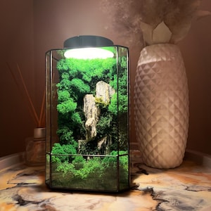 Könnte beinhalten: Ein hexagonales Glasterrarium mit leuchtend grünem konserviertem Moos und grauen vertikalen Felsformationen. Das Gehäuse ist mit einem kreisförmigen integrierten LED-Licht versehen, das den Innenraum beleuchtet und die Texturen von Moos und Stein hervorhebt.
