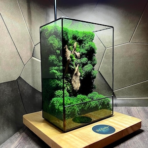 Premium handmade moss terrarium, terrarium led light, minimalist decor, japanese style decor, geometric terrarium, gift ideas, gift for her