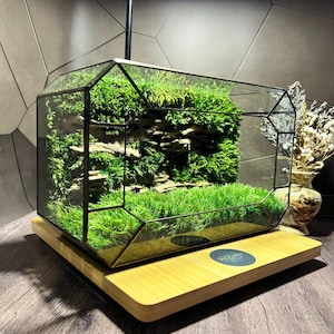 Geometric Moss Terrarium | Eco Decor for Home & Office | Handmade Gift with Preserved Moss