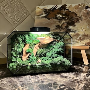 LED Moss Terrarium with Wood | Glass Mossarium Decor | Zen Desk Plant Gift for Nature Lovers