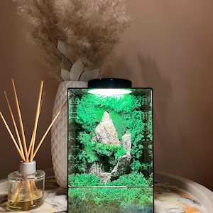 Moss Terrarium for home decor| Eco-Friendly Office Decor | handmade terrarium gifts | zero maintenance | luxury gift | moody decor