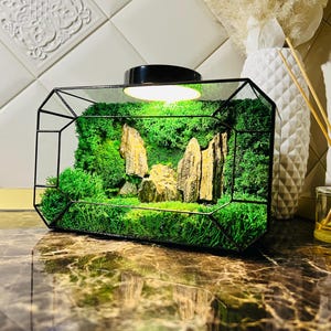 Terrarium with preserved moss, moss terrarium, natural terrarium, geometric terrarium, preserved, gifts for home, plant lover gift