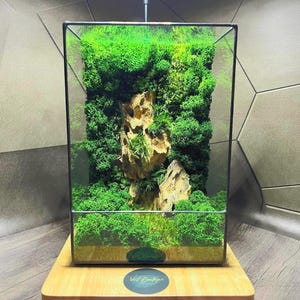 Japanese Moss Terrarium: Handmade Geometric Glass Living Decor