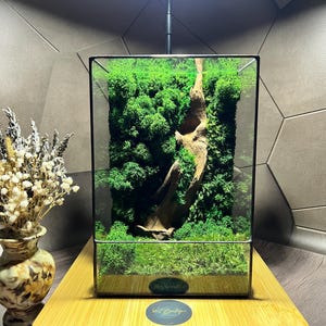 Premium Moos Terrarium im japanischen Stil, konserviertes Moos, grünes Moos, Dekor im japanischen Stil, Moos Terrarium, Geschenk für Chef, Geschenk für Pflanzenliebhaber