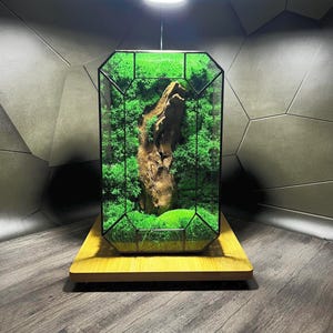 Handmade Geometric Moss Terrarium | Natural Glass Decor with Wood | Modern Eco-Friendly Gift for Home or Office