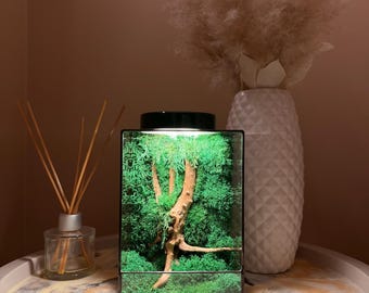 Handmade Moss Terrarium with LED Light: Japanese Minimalist Decor