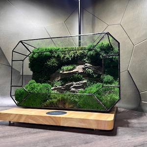 Smaragd Moos Terrarium | Handmade Geometrische Glasdekor | Wohn-Schmuckstück für Zuhause & Büro