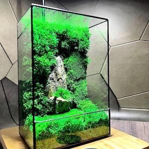 Premium preserved moss glass terrarium, terrarium moss plant, decorative moss, led terrarium, gift for home, gift for her, home decor