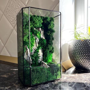 Puede incluir: Un terrario rectangular de vidrio con marco de metal negro. En el interior, un paisaje en miniatura presenta musgo verde, pequeñas formaciones rocosas y un entorno exuberante y verde. El terrario se encuentra sobre una superficie oscura similar al mármol.