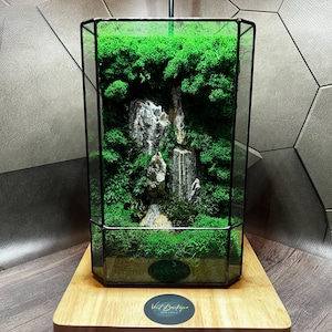 Moss Terrarium: Handmade Japanese Zen Garden Decor, Mossarium