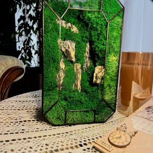 Hexagon Moss Terrarium | Handmade Zen Decor | Preserved Moss Gift Box | Geometric Glass Plant Art | Modern Nature-Inspired Centerpiece