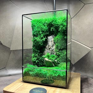 Puede incluir: Un terrario rectangular de cristal con marco de metal negro que contiene musgo preservado de color verde vibrante y una piedra gris central. El terrario se asienta sobre una base de madera clara con una pegatina circular con el texto Vist Boutique.