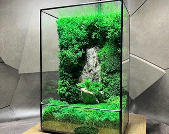 Desktop Moss Terrarium: Handmade Preserved Moss & Stone Landscape Mossarium