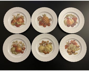 Bavaria製ヴィンテージ磁器フルーツプレート #48 (9枚セット) - Etsy 日本
