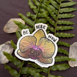 May include: A sticker with a yellow and pink orchid design, outlined in black, and the words "BE HERE NOW". The sticker is set against a backdrop of green fern leaves and clear quartz crystals on a dark brown surface.