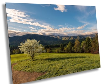 Cades Cove Sunrise: Smoky Mountains National Park