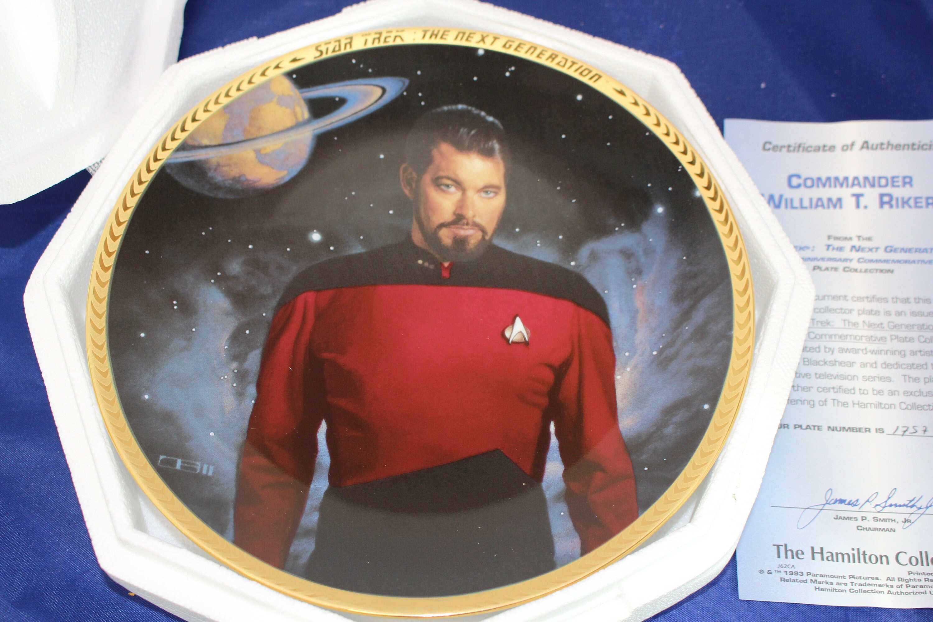 Star Trek Commander Riker TNG 5th Anniversary Collector Plate 