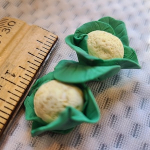 Two tiny cauliflower for your dollhouse or fairy garden