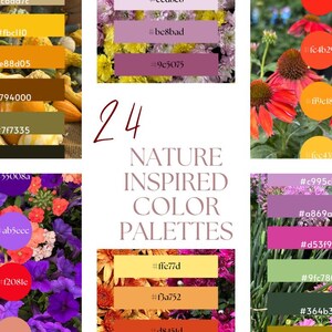 Nature Photo Color Palettes: 24 Printable Inspiration Palettes with Hex Codes (PDF Download)