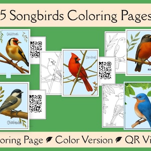 Op de afbeelding: Een verzameling van 5 kleurplaten van zangvogels, waaronder een putter, kardinaal, roodborstje, mees en blauwe vogel. Elke set bevat een zwart-wit kleurplaat, een gekleurde referentieafbeelding en een QR-code voor een video-tutorial.