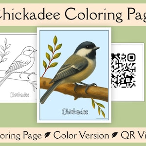 May include: A Chickadee coloring page set featuring a black and white line art illustration of a bird on a branch, a full-color version of the same bird, and a square QR code. The text Chickadee appears on the coloring page and color version.