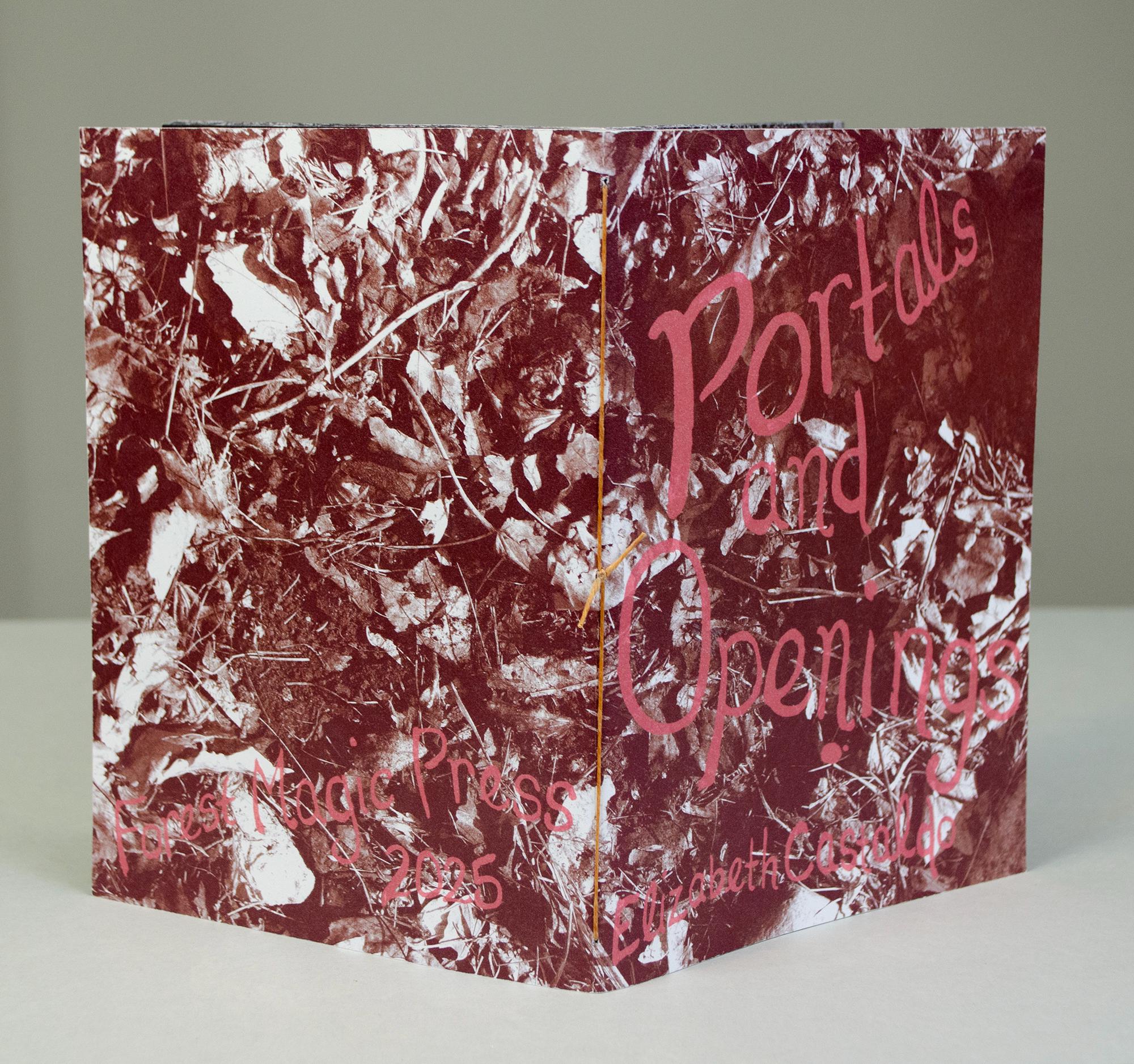 Portals and Openings // Photobook // Zine // Risograph
