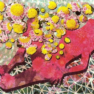 Bloom! // limited edition silkscreen print // handmade screenprint // fine art print // feminist art