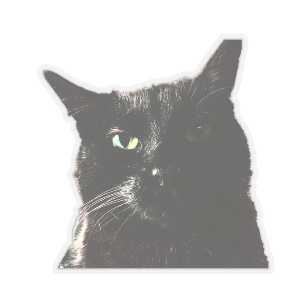 Kiss-Cut Stickers, Black Cat Disapproves, Funny Cat Stickers, Cat Lover Gift, Laptop Decal, Water Bottle Sticker, Pet Owner Gift, Animal