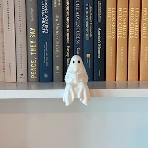 Puede incluir: Una figura de fantasma blanco leyendo un libro, posada en una estanter&iacute;a blanca frente a una fila de libros. La figura tiene dos agujeros negros para los ojos y un cuerpo drapeado. Los libros tienen varios t&iacute;tulos y colores.