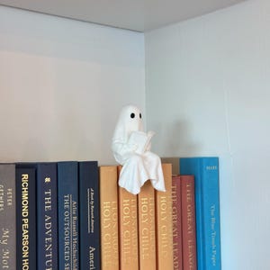 Puede incluir: Una figura de fantasma blanco leyendo un libro, posada en una estanter&iacute;a de libros coloridos. La figura tiene dos ojos negros y est&aacute; envuelta en una s&aacute;bana blanca. Los libros tienen t&iacute;tulos como "LEONARDO'S HOLY CHILD" y "The Blue Touch Paper".